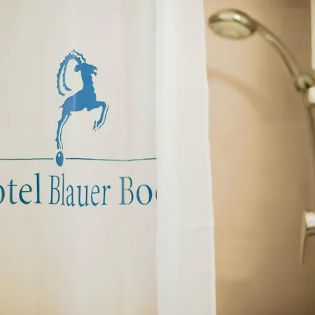 Hotel Blauer Bock 3*