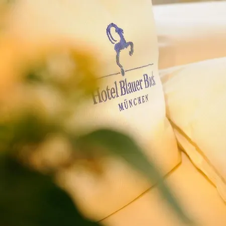 Отель Blauer Bock 3*