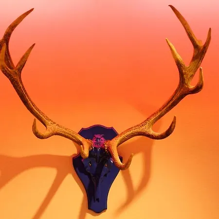 Blauer Bock 3* Мюнхен