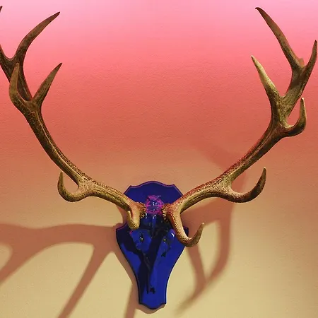 Отель Blauer Bock Мюнхен