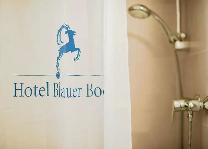 호텔 블라우어 복 3*