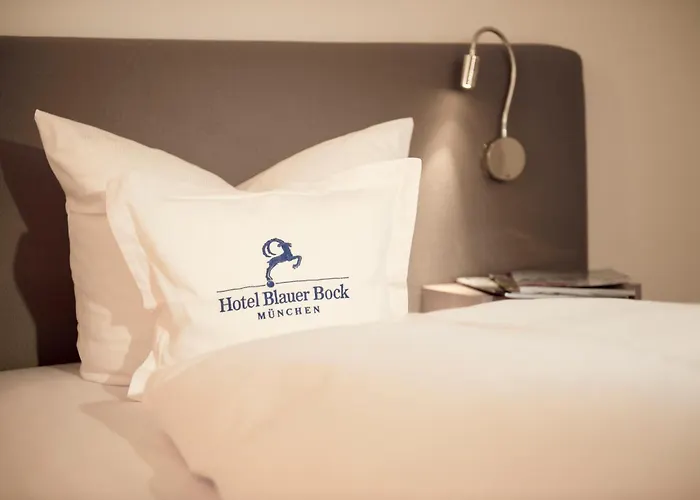 호텔 블라우어 복 3*