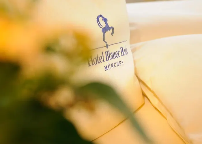 호텔 블라우어 복 3*