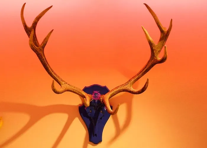 블라우어 복 3* 뮌헨