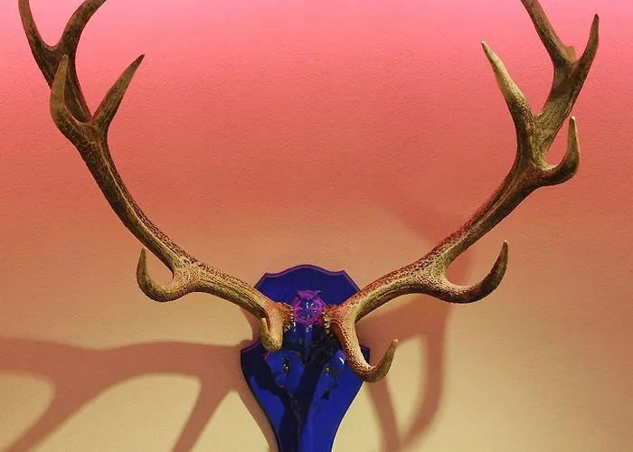 호텔 블라우어 복 뮌헨