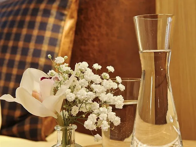 호텔 블라우어 복 3*