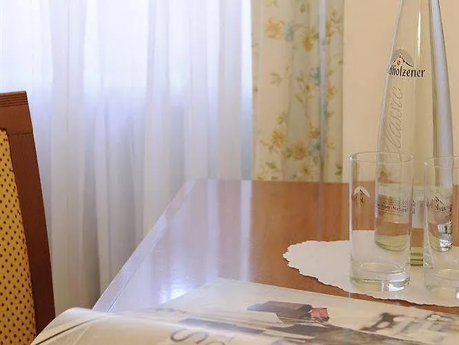 호텔 블라우어 복